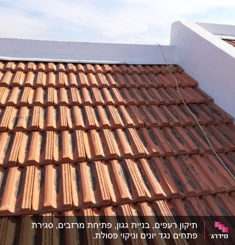 גג רעפים חומים עם חוט חשמל